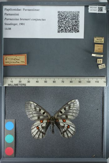 Media type: image;   Entomology 174247